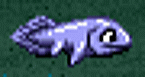 00185.gif