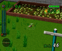 00737.gif