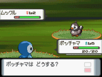 00966s8.gif