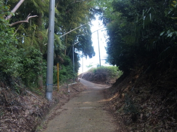 00989s4.jpg