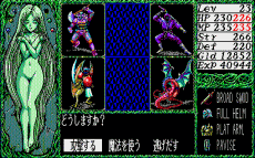 ドラゴンナイト 戦闘画面
